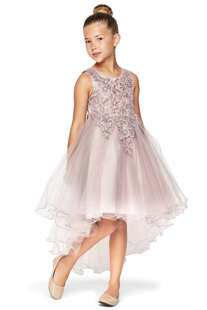 Party / Flower Girl Dress (9086)