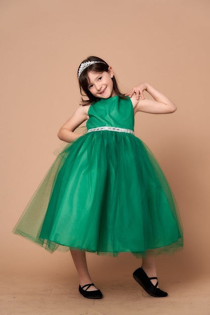 Party / Flower Girl Dress (D-754-Big)