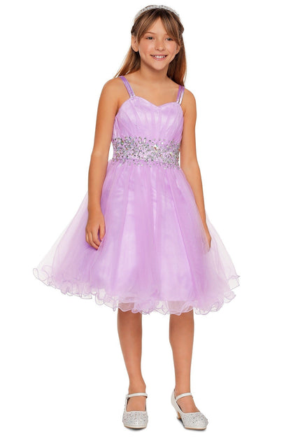 Party / Flower Girl Dress (65008)