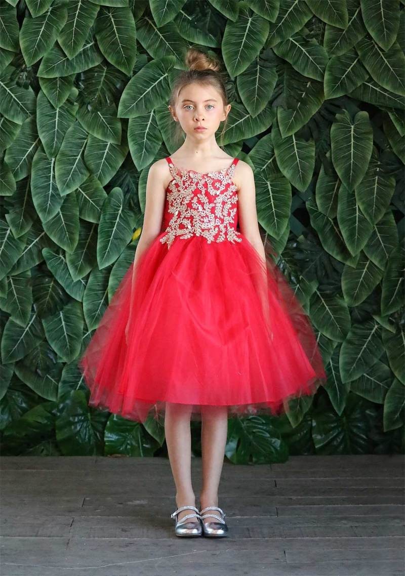 Party / Flower Girl Dress (D-778-Big)-Girls-Red/Gold-14-Chacho's Kids